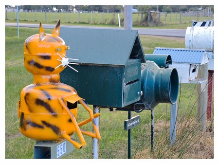 Photo of rural mailboxes