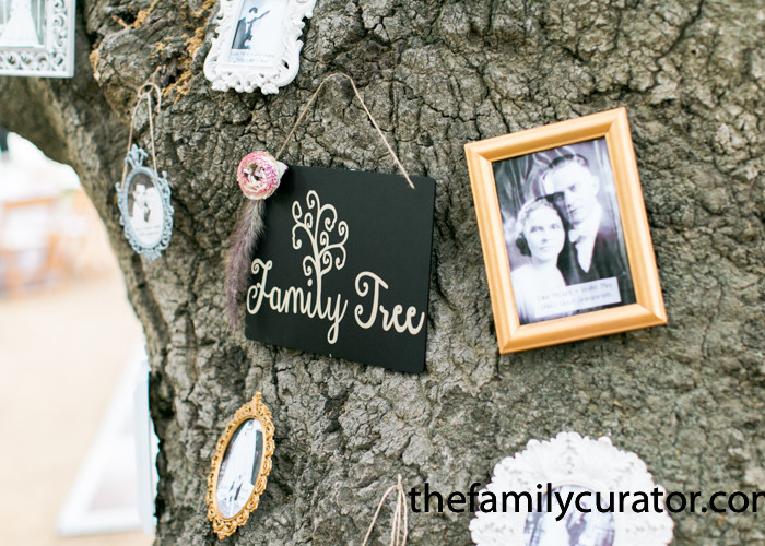 How to Make a Living Family Tree