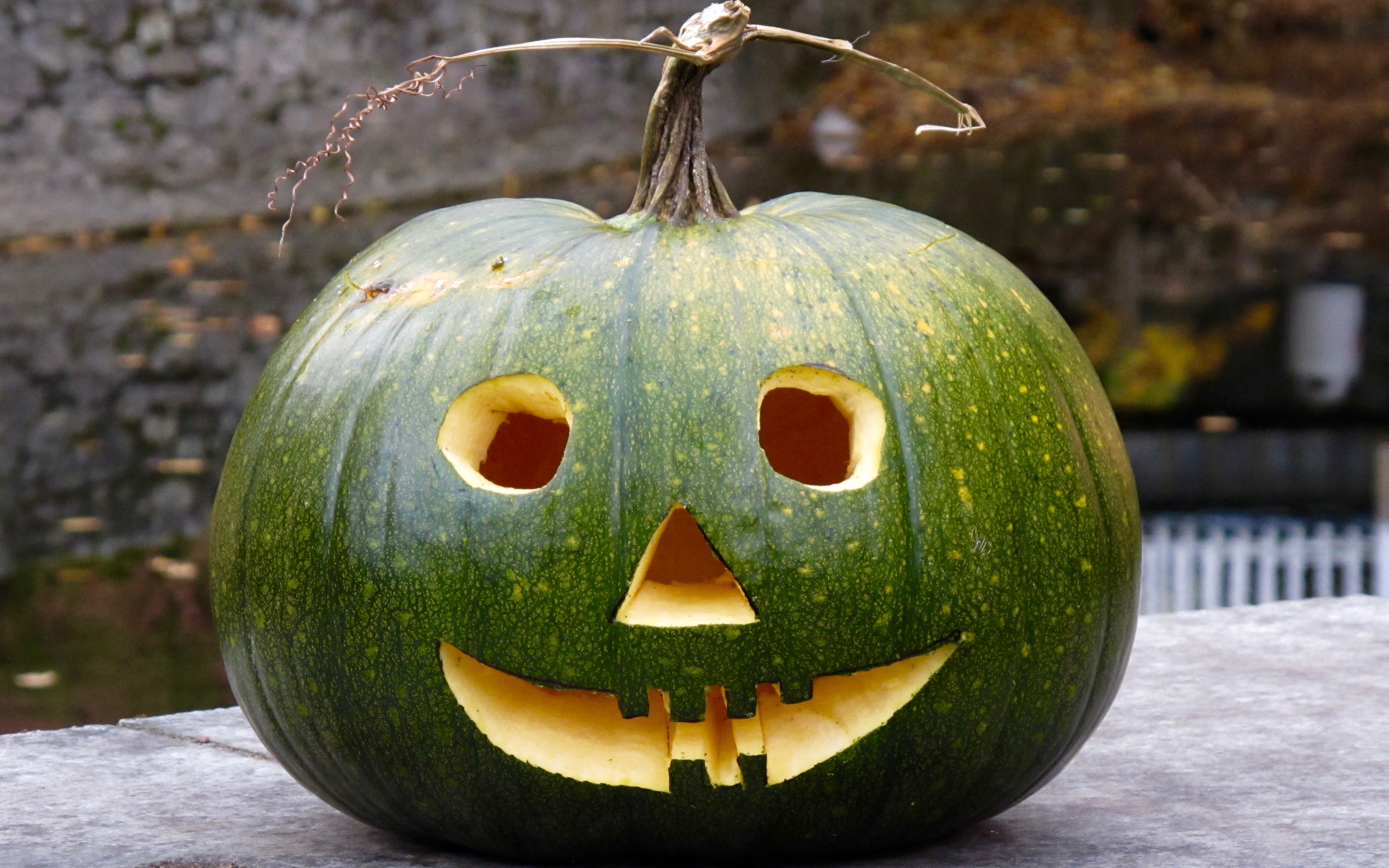 Saving Pumpkins, Saving Halloween - The Family Curator