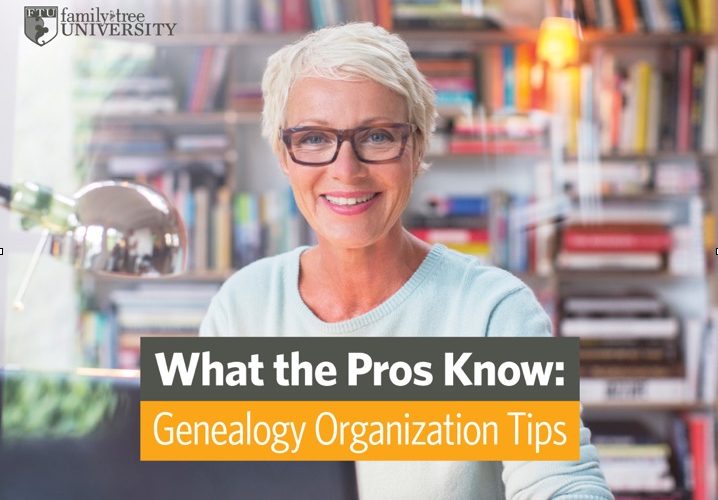 Organizing Genealogy