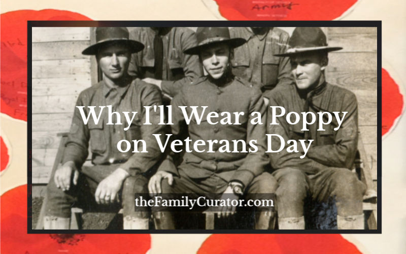 Why I'll Wear a Poppy on Veterans Day